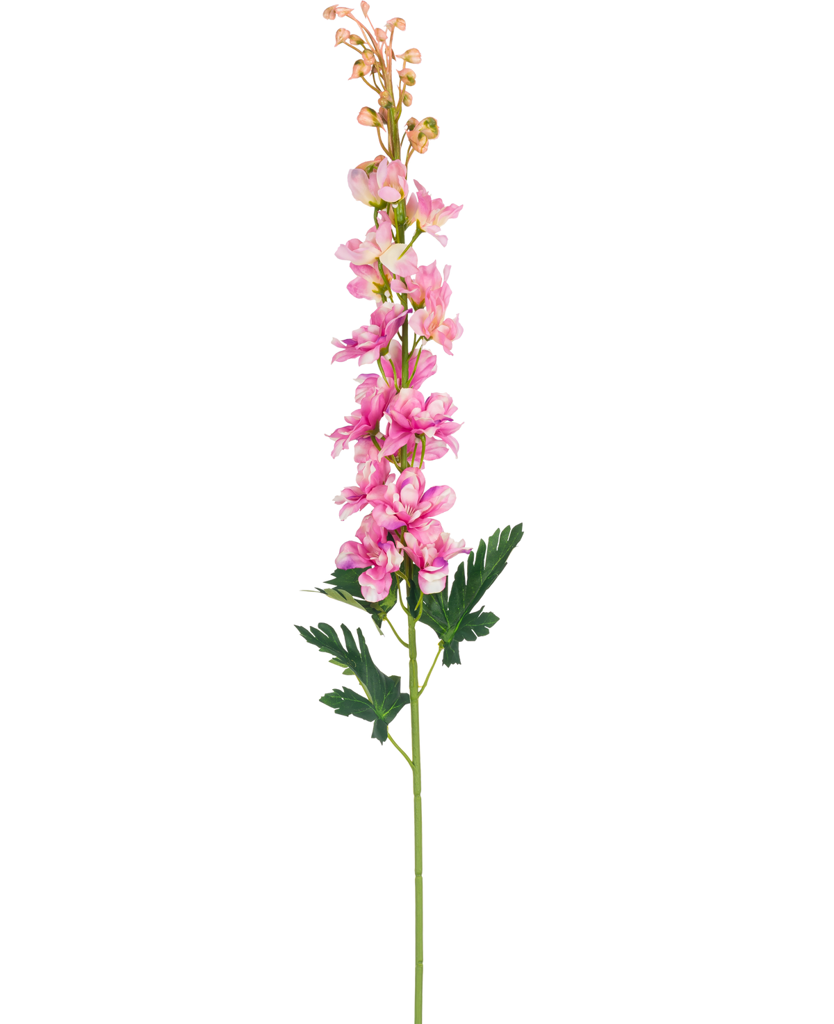 Eine einzelne künstliche Blume Delphinium 79 cm rosa Blume mit grünen, tief gelappten Blättern, isoliert auf weißem Hintergrund.