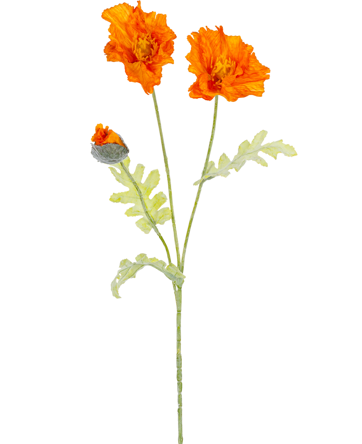 Eine botanische Illustration des künstlichen Blumenmohns 73 cm orange zeigt zwei offene orangefarbene Blüten und eine geschlossene Knospe an langen grünen Stielen mit hellgrünen, tief gelappten Blättern.