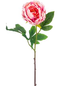 Die künstliche Pfingstrose 61 cm rosa besteht aus einer einzelnen rosa Pfingstrose mit üppig grünen Blättern und einem langen braunen Stiel, isoliert auf einem weißen Hintergrund.