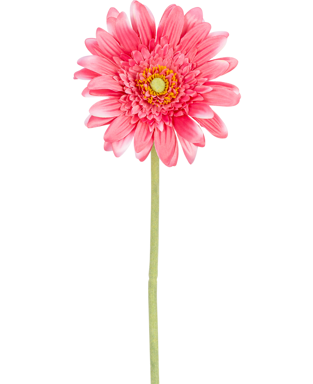 Eine künstliche Gerbera-Blume, 55 cm, rosa, mit gelbem Kern und grünem Stahl, isoliert auf weißem Hintergrund.
