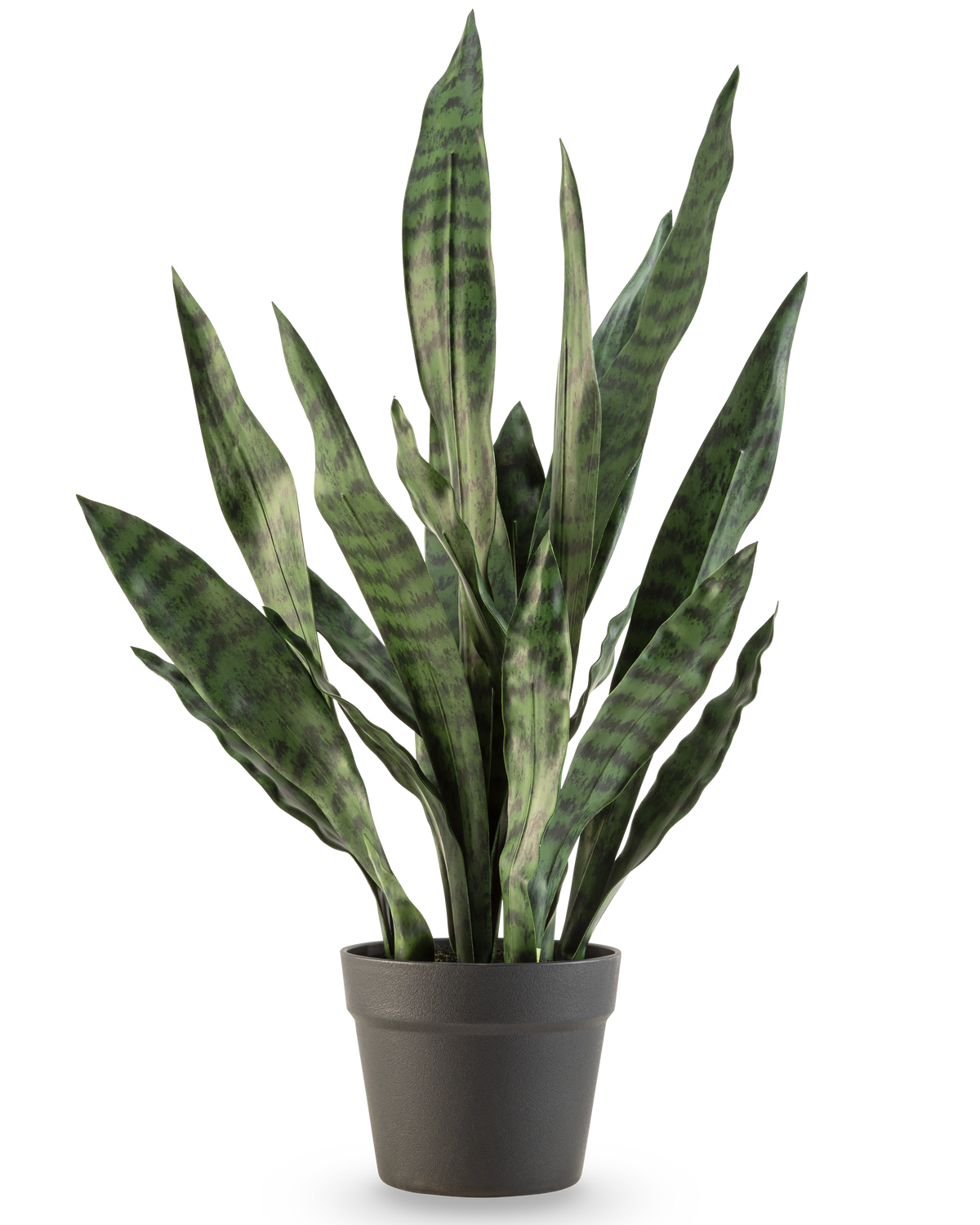 Die Kunstpflanze Sansevieria Zeylanica 71 cm hat lange, aufrechte grüne Blätter mit dunklen Querstreifen, in einem schlichten dunkelgrauen Topf vor einem schlichten weißen Hintergrund.