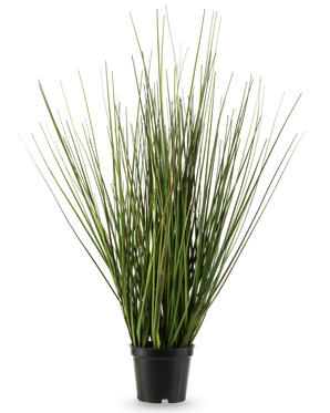 Die feuerhemmende Kunstrasenpflanze Zwiebel 50 cm hat lange, schmale grüne Stängel, die aufrecht wachsen und sich leicht verjüngen, in einen kleinen schwarzen Plastiktopf vor einem schlichten weißen Hintergrund.