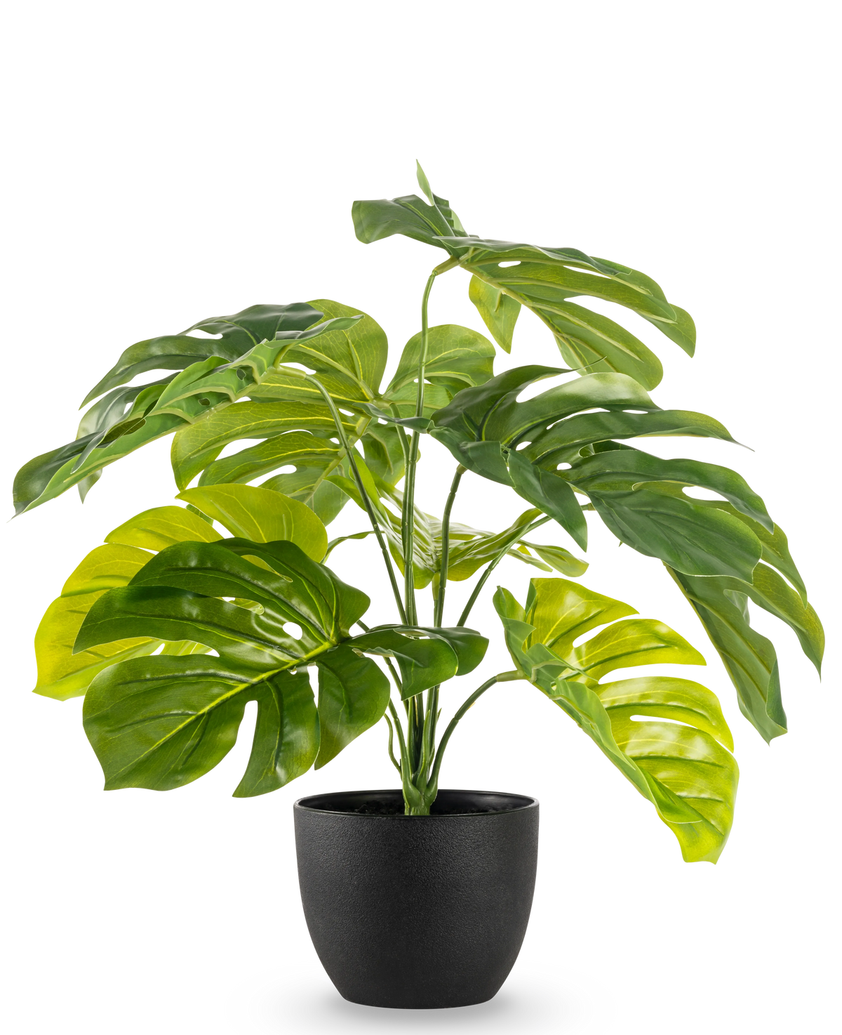 Die künstliche Monstera 55 cm im schwarzen Dekotopf hat große, glänzende, gespaltene grüne Blätter in einem schwarzen Dekotopf vor einem schlichten weißen Hintergrund.