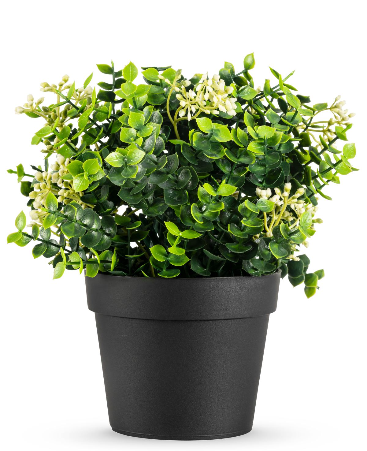 Die Kunstpflanze Eukalyptus-Mix UV 22 cm hat hellgrüne Blätter und kleine weiße Blüten in einem schlichten schwarzen Topf vor einem weißen Hintergrund.
