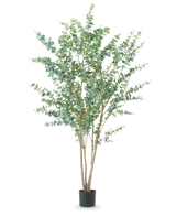 Die Kunstpflanze Eukalyptus 240 cm ist eine hohe Kunstpflanze mit mehreren dünnen Holzstielen und runden grünen Blättern, die in einem einfachen schwarzen Topf vor einem schlichten weißen Hintergrund präsentiert wird.