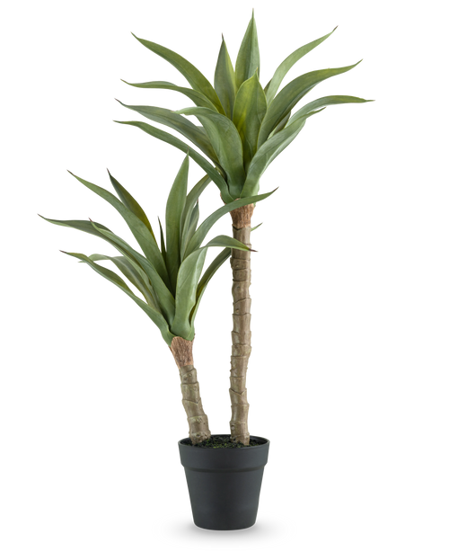 Die Kunstpflanze Agave 76 cm hat zwei lange, dicke Stiele mit langen, spitzen grünen Blättern in einem schwarzen Topf vor einem schlichten weißen Hintergrund.
