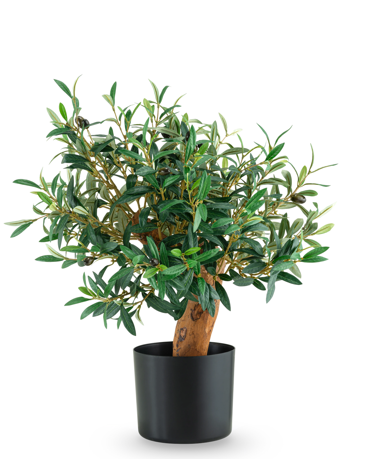 Der künstliche Olivenbaum UV 60 cm ist ein kleiner eingetopfter Olivenbaum mit üppig grünen Blättern und einem robusten Stamm, der in einem eleganten schwarzen Topf vor einem schlichten weißen Hintergrund präsentiert wird.