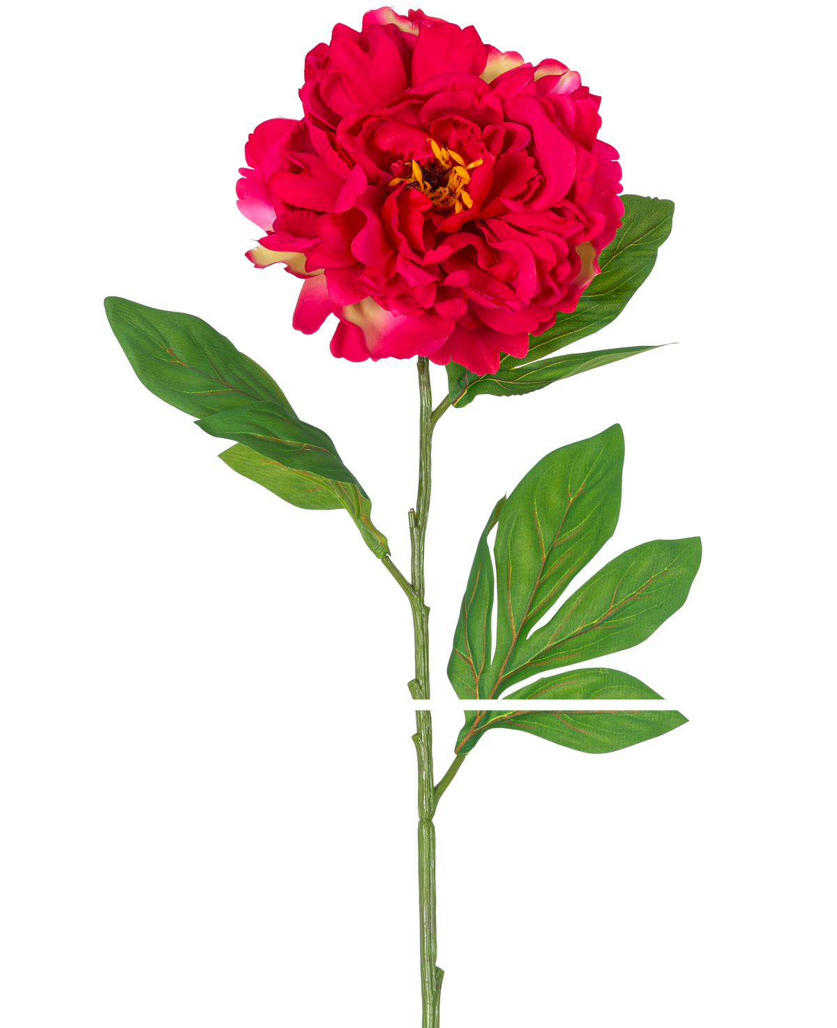 Die künstliche Pfingstrose 77 cm rot ist eine einzelne künstliche Pfingstrose mit einer großen, leuchtend roten Blüte und grünen Blättern an einem langen Stiel, dargestellt vor einem weißen Hintergrund.