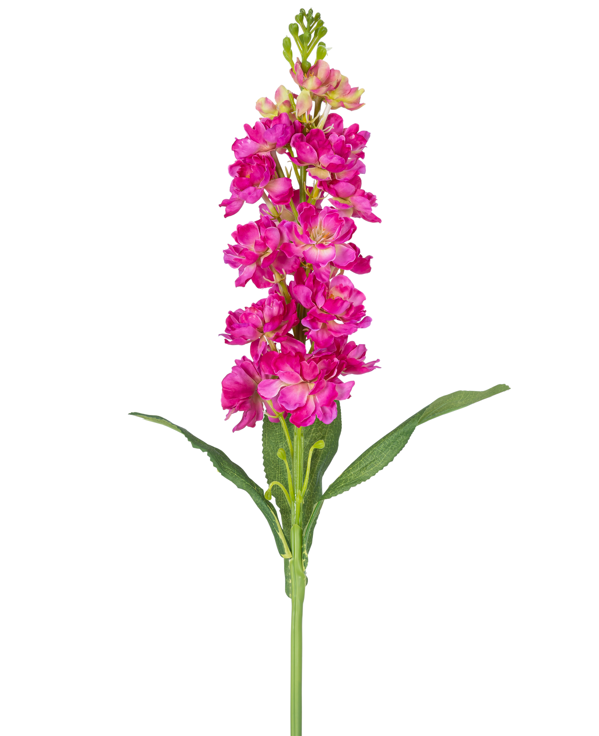 Eine einzelne künstliche Blume Violier 78 cm Fuchsia mit mehreren leuchtend rosa Blüten und grünen Blättern vor einem schlichten weißen Hintergrund.