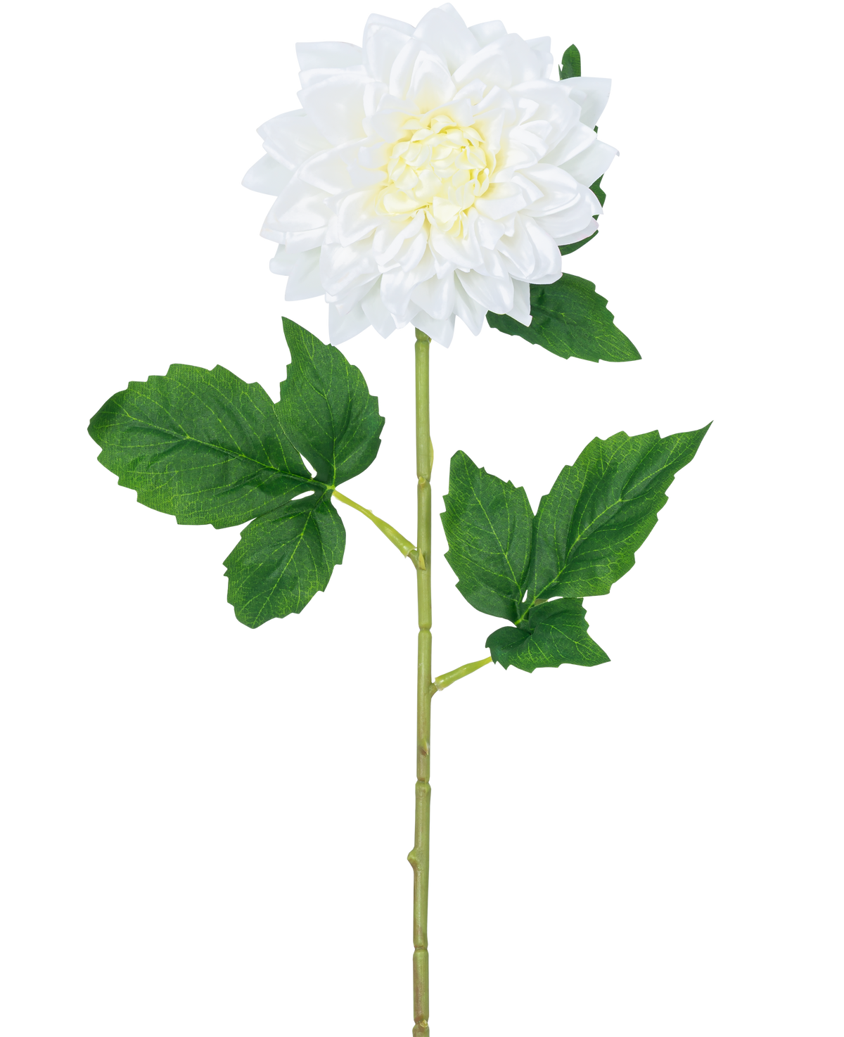 Die künstliche Blumen-Dahlie Real Touch weiß 54 cm hat einen einzelnen weißen Dahlienstiel mit einem gelben Herzen und grünen Blättern vor einem schlichten weißen Hintergrund.