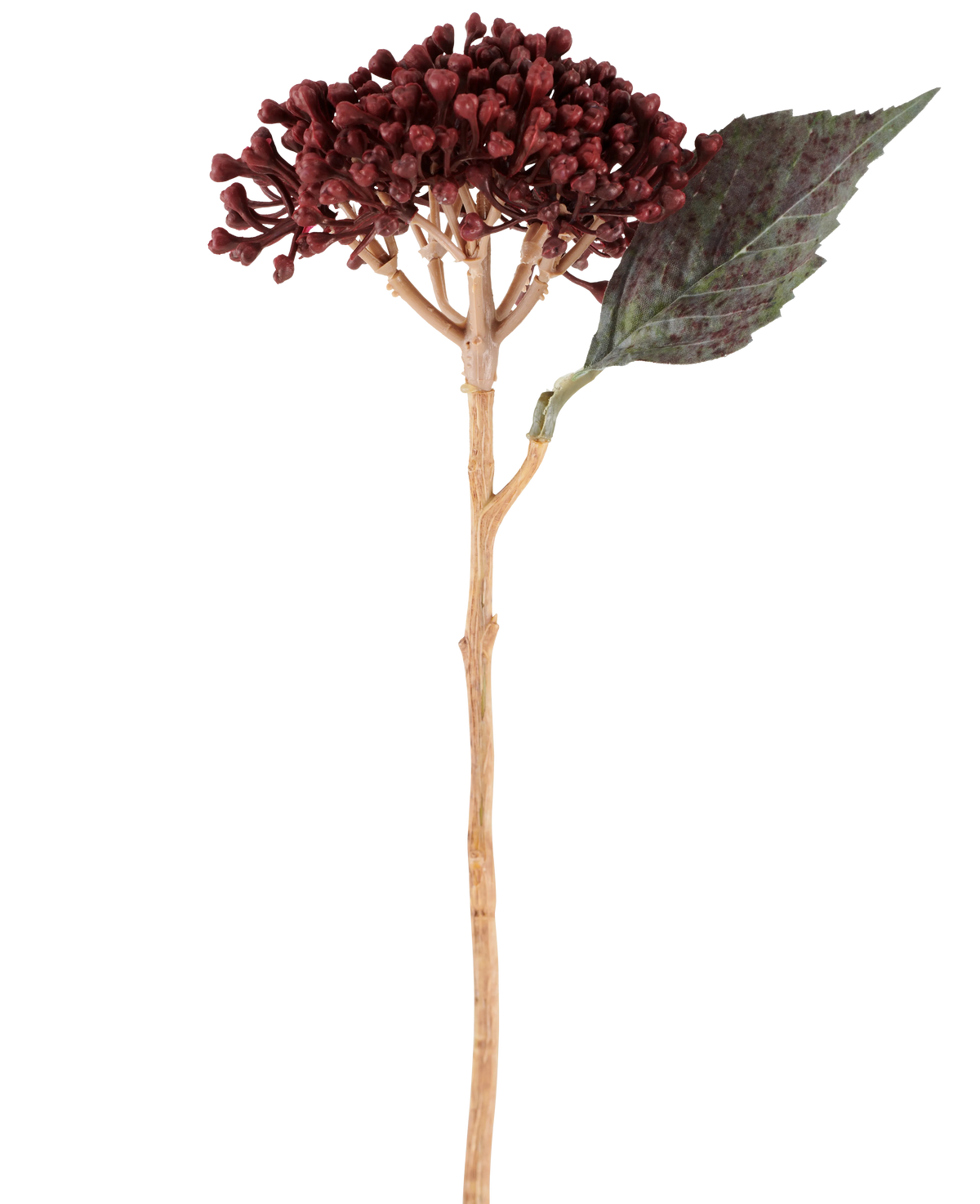 Vor einem weißen Hintergrund ist eine einzelne getrocknete künstliche Hortensie in Burgunderrot mit einer Länge von 38 cm, mit getrockneten rotbraunen Blütenblättern, einer Ansammlung kleiner Knospen und einem grünen Blatt auf einem langen, schlanken Stiel abgebildet.