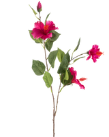 Die künstliche Blume Hibiskus 89 cm Fuchsia hat einen Zweig mit grünen Blättern, mehrere leuchtend fuchsiafarbene Hibiskusblüten und eine geschlossene Knospe, alles vor einem weißen Hintergrund.