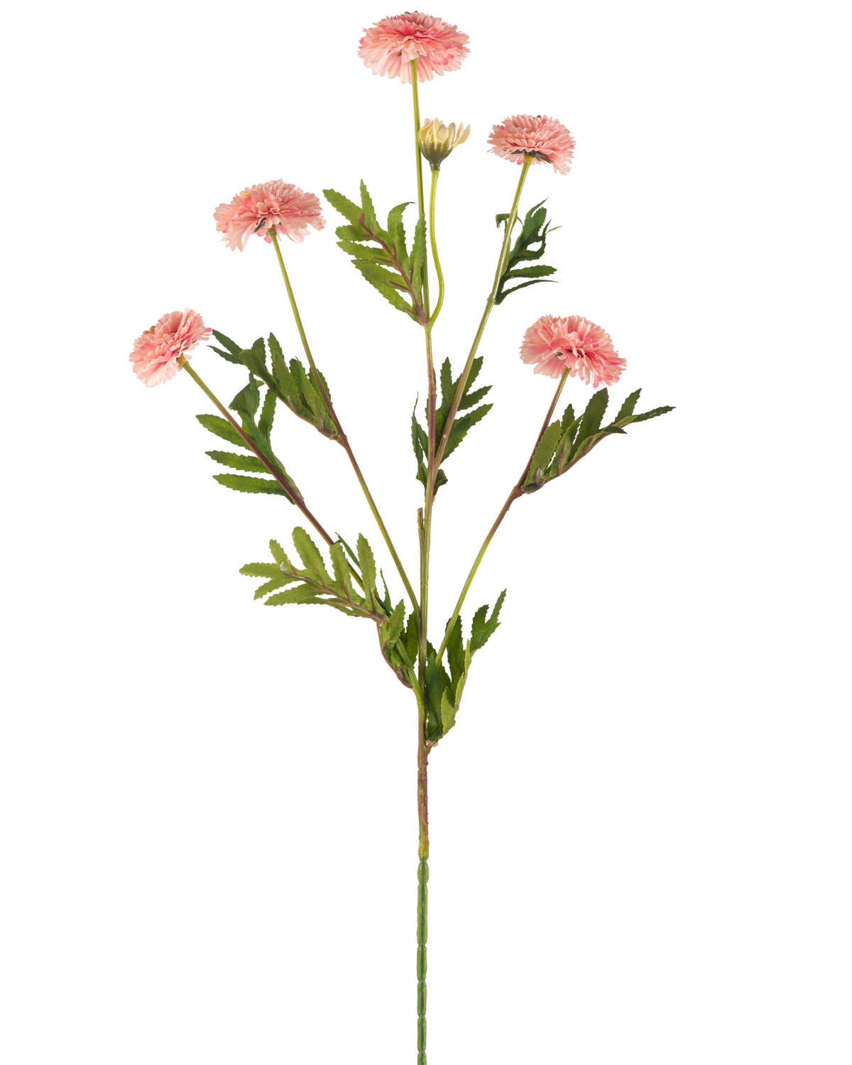 Die künstliche Blumen-Pompon-Chrysantheme 69 cm rosa hat einen einzelnen Stiel mit mehreren hellrosa, runden Pompon-Blüten und grünen, farnartigen Blättern auf weißem Hintergrund.