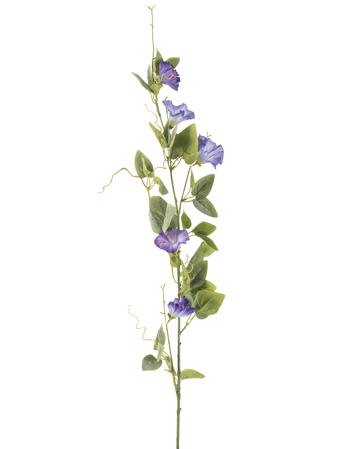 Die künstliche Blumenwinde 122 cm lila hat einen langen grünen Stiel mit mehreren grünen Blättern und lila, trompetenförmigen Kunstblumen, die vertikal vor einem schlichten weißen Hintergrund angeordnet sind.