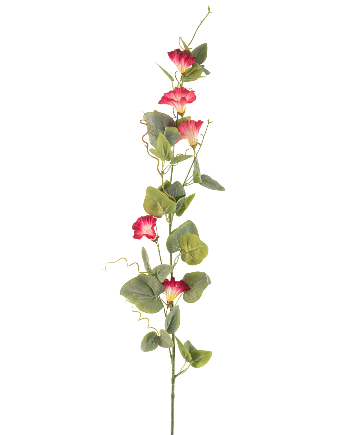 Ein einzelner Stiel einer künstlichen Ackerwinde, 122 cm, rot, mit mehreren roten Kunstblumen und grünen Blättern vor einem schlichten weißen Hintergrund.