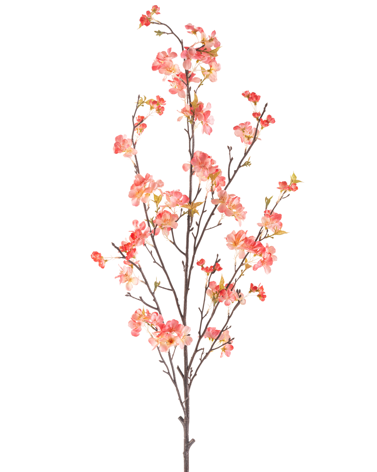 Die pfirsichfarbene Kunstblume Kirschblüte 150 cm hat einen einzelnen hohen Zweig mit mehreren dünnen Stielen, der mit Büscheln kleiner rosa und roter Blüten und einigen grünen Blättern vor einem schlichten weißen Hintergrund verziert ist.