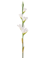 Die künstliche Gladiole 83 cm weiß ist ein einzelner künstlicher weißer Gladiolenstiel mit mehreren Blüten und grünen Knospen, der aufrecht vor einem schlichten weißen Hintergrund steht.