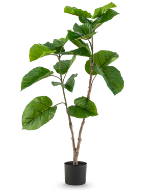 Die Kunstpflanze Ficus Rumphii 120 cm ist eine hohe Kunstpflanze mit breiten, glänzend grünen Blättern und mehreren Zweigen, in einem schlichten schwarzen Topf vor einem schlichten weißen Hintergrund.