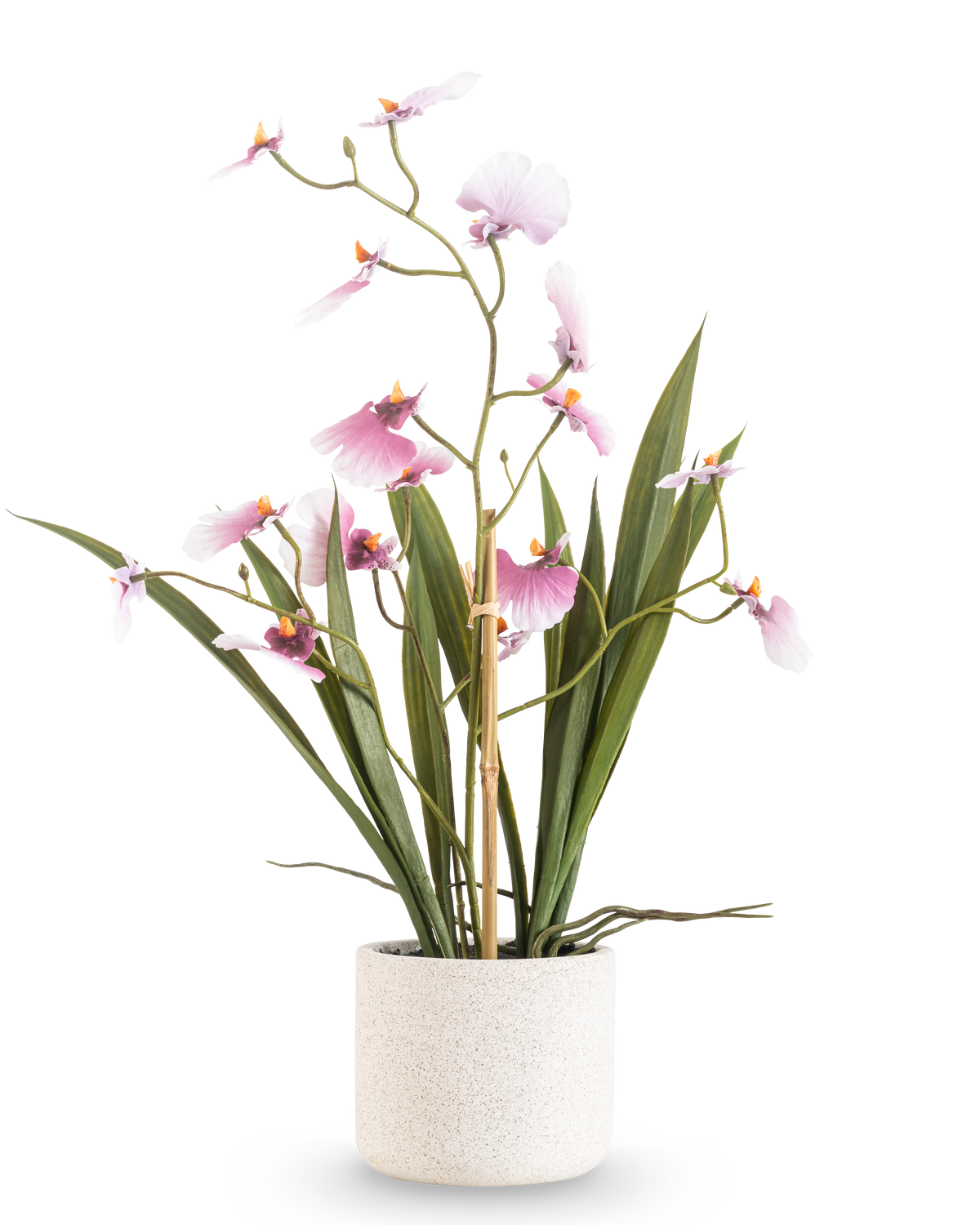 Das künstliche Oncidium Real Touch 48 cm rosa hat eine hohe Orchidee mit langen grünen Blättern und zartrosa Blüten an gebogenen Stielen, in einem weißen strukturierten Topf vor einem schlichten weißen Hintergrund.