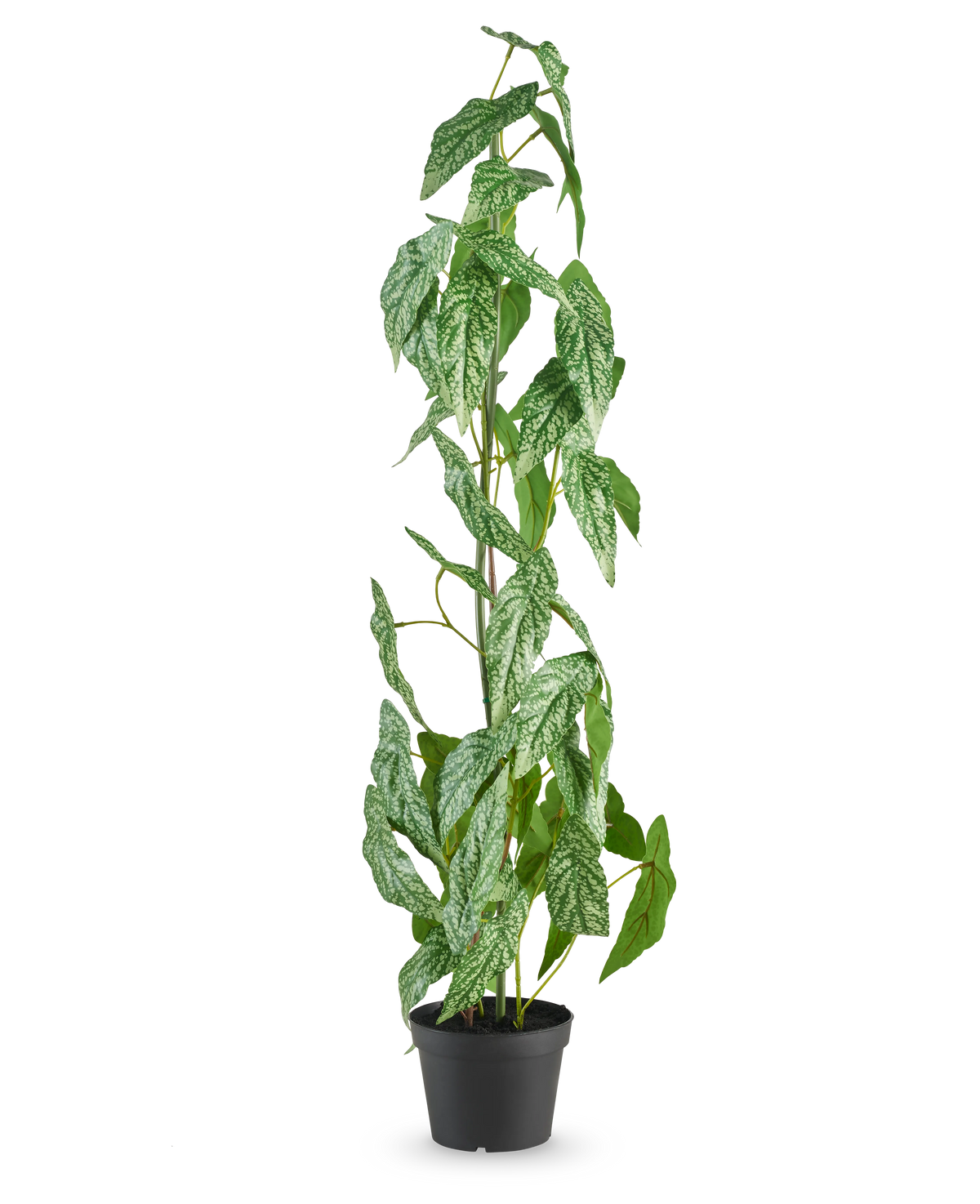 Die künstliche Pflanze Begonia Maculata 90 cm grün steht hoch mit gesprenkelten weißen und grünen Blättern in einem kleinen schwarzen Topf vor einem schlichten weißen Hintergrund.