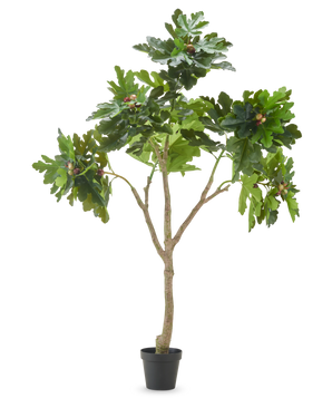 Der Kunstpflanze Ficus Carica Feigenbaum 210 cm hat mehrere Zweige, sattgrüne Blätter und mehrere unreife Feigen vor einem schlichten weißen Hintergrund.