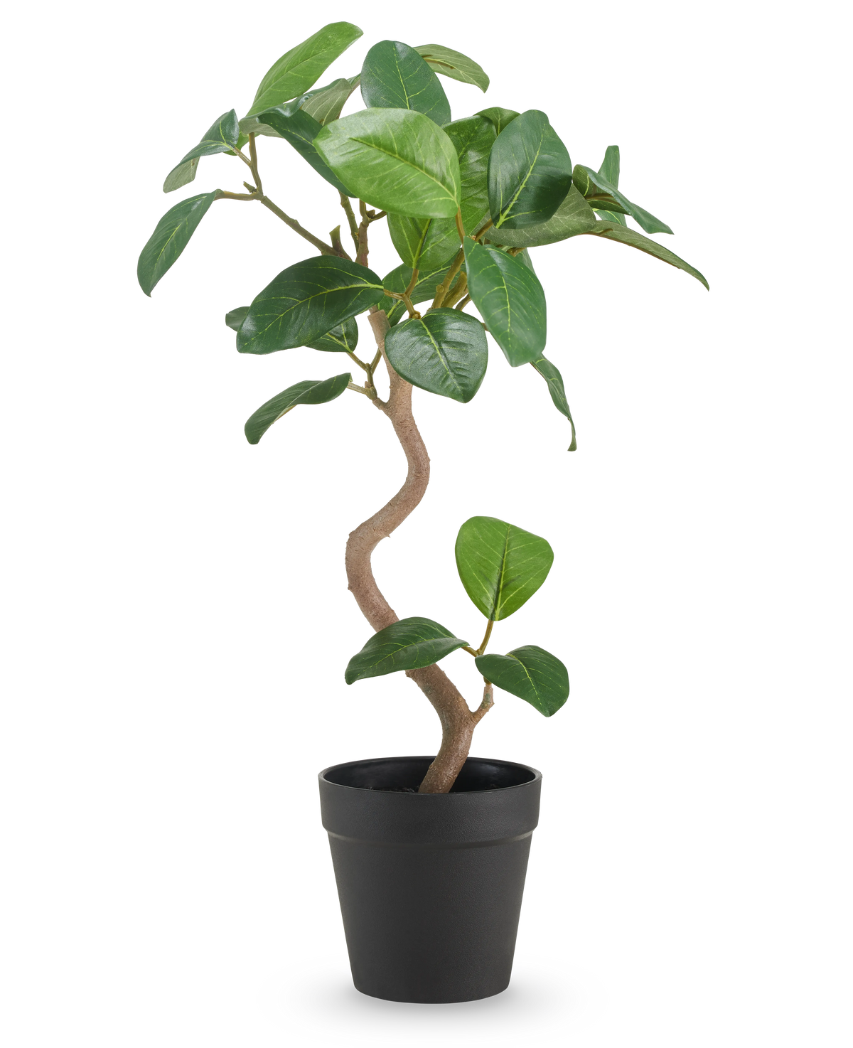 Der künstliche Ficus Elastica 42 cm hat einen gedrehten Stamm und breite, glänzend grüne Blätter, präsentiert in einem schlichten schwarzen Topf vor einem schlichten weißen Hintergrund.