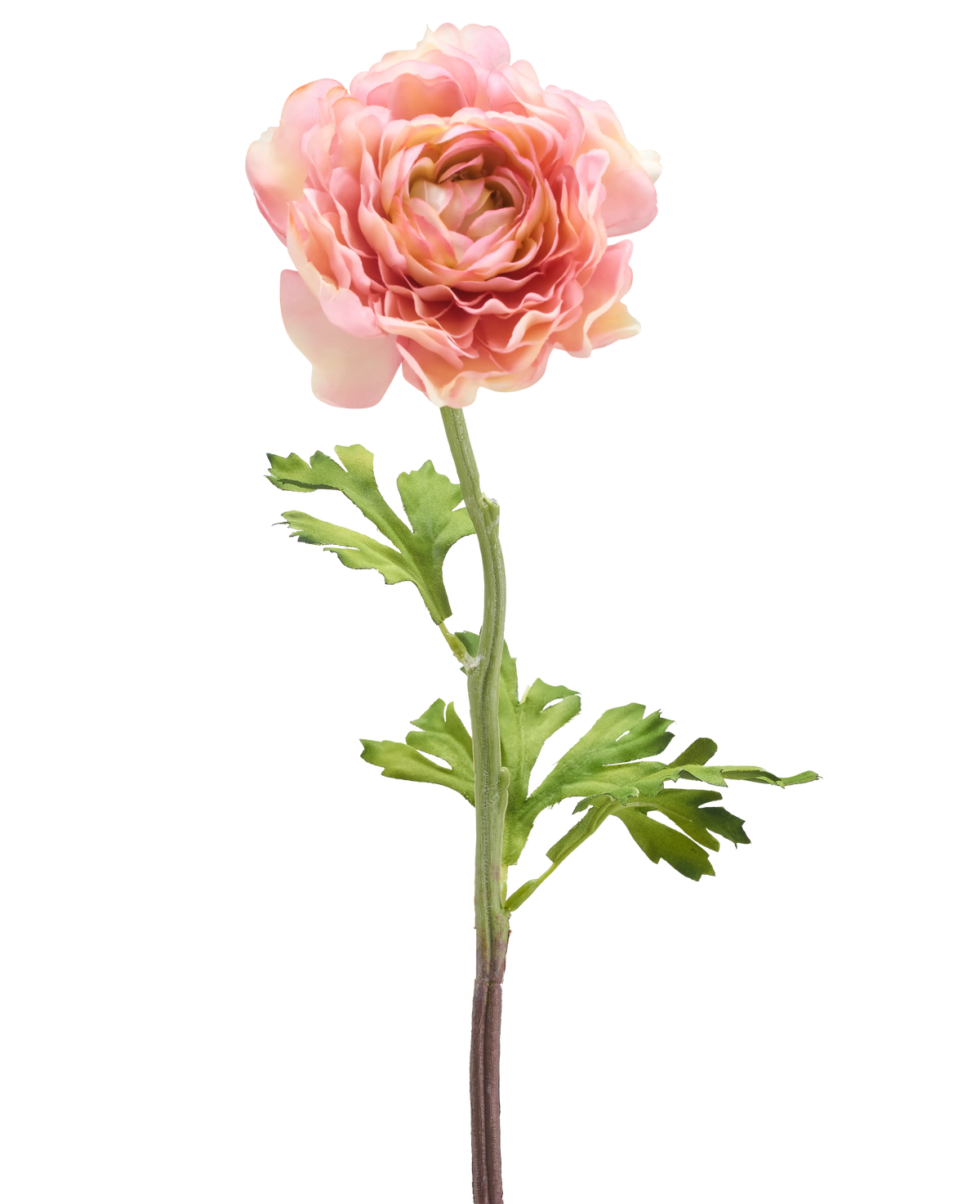 Die künstliche Ranunkelblume 51 cm rosa besteht aus einer einzelnen rosafarbenen Ranunkel mit geschichteten Blütenblättern und grünen Blättern an einem langen Stiel, isoliert vor einem weißen Hintergrund.