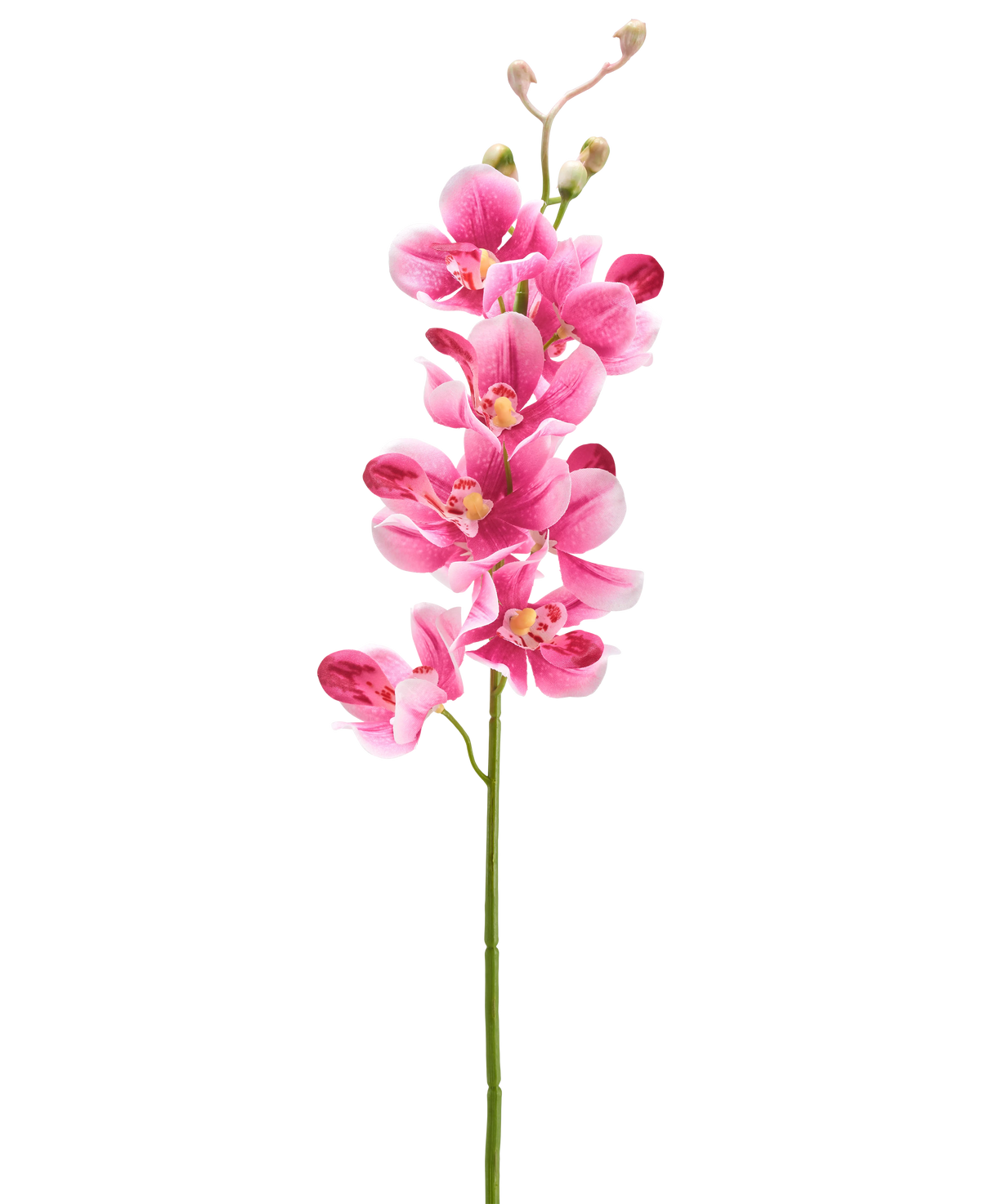 Vor einem schlichten weißen Hintergrund steht eine künstliche Blumenorchidee (55 cm) in Mauve mit mehreren leuchtend malvenrosa Blüten und Knospen.