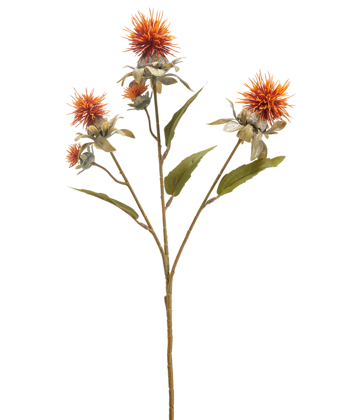 Die künstliche Blumendistel 57 cm altorange hat einen einzelnen Stiel mit drei stacheligen, distelartigen orangefarbenen Blüten und mehreren grünen Blättern, isoliert auf weißem Hintergrund.