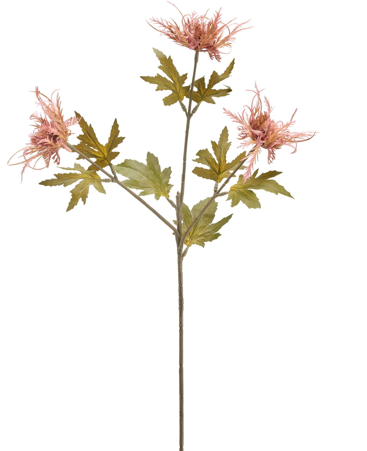 Ein einzelner Stiel einer künstlichen Blumendistel 60 cm orange mit drei orangefarbenen, stacheligen Blüten und mehreren gezackten grünen Blättern, isoliert auf weißem Hintergrund.
