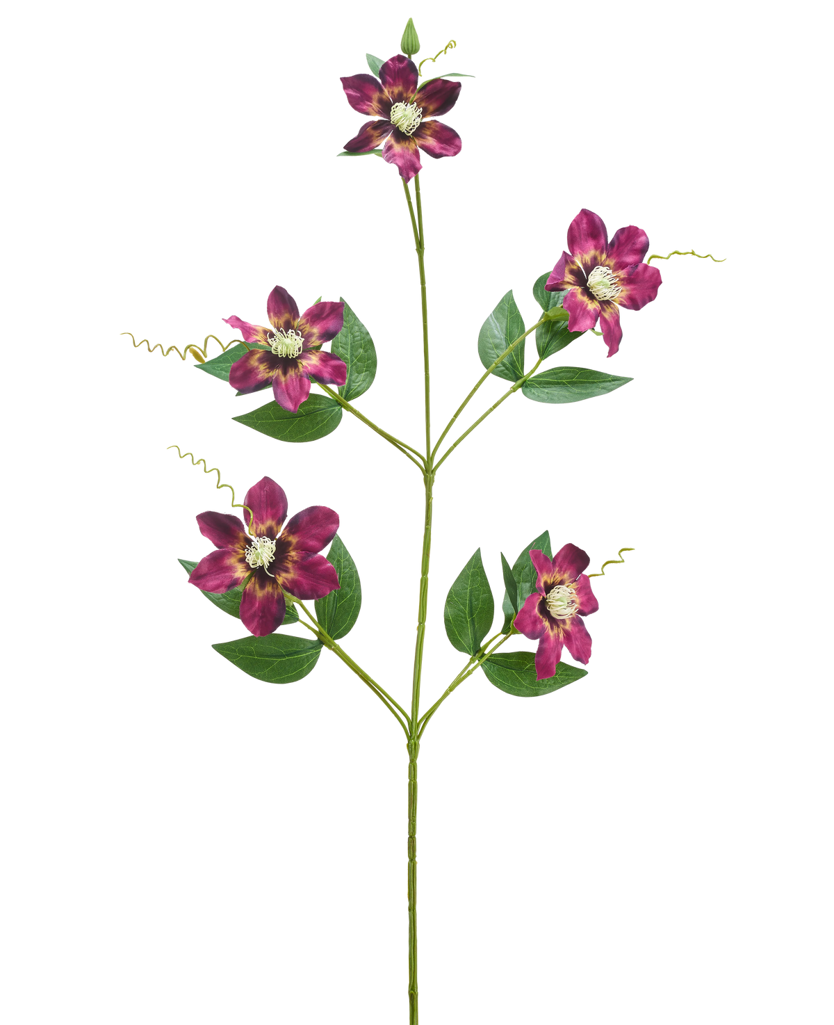 Die künstliche Blume Celematis 78 cm lila hat einen einzelnen grünen Stiel mit fünf blühenden lila Blüten, jede mit spitzen Blütenblättern und einem gelben Herzen, umgeben von grünen Blättern und gekräuselten Ranken, isoliert auf weißem Hintergrund.