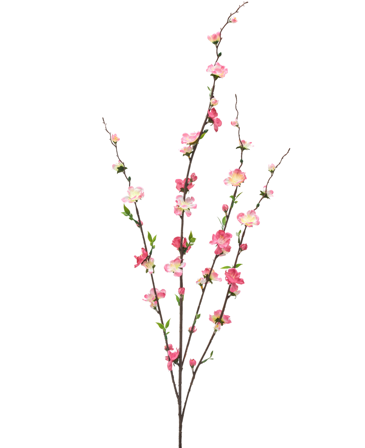 Die künstliche Blumenblüte 93 cm in Fuchsia/Rosa besteht aus drei schlanken Zweigen mit kleinen grünen Blättern und Büscheln aus fuchsiafarbenen und rosa Blüten, isoliert auf weißem Hintergrund.