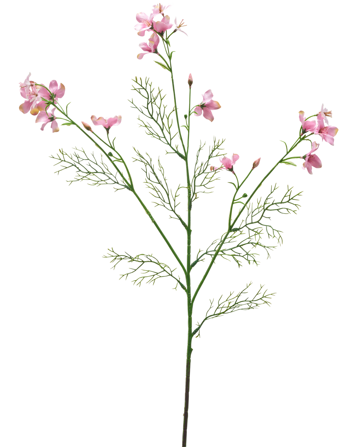 Die künstliche Blume Wildes Delphinium 71 cm hellrosa hat einen einzelnen grünen Stiel mit gefiederten Blättern und mehreren Büscheln zarter hellrosa Blüten vor einem schlichten weißen Hintergrund.