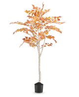 Die künstliche Birke „Herbst“ 150 cm ist eine hohe künstliche Birke mit einem schlanken weißen Stamm und orange-gelben Herbstblättern, in einem kleinen schwarzen Topf vor einem schlichten weißen Hintergrund.
