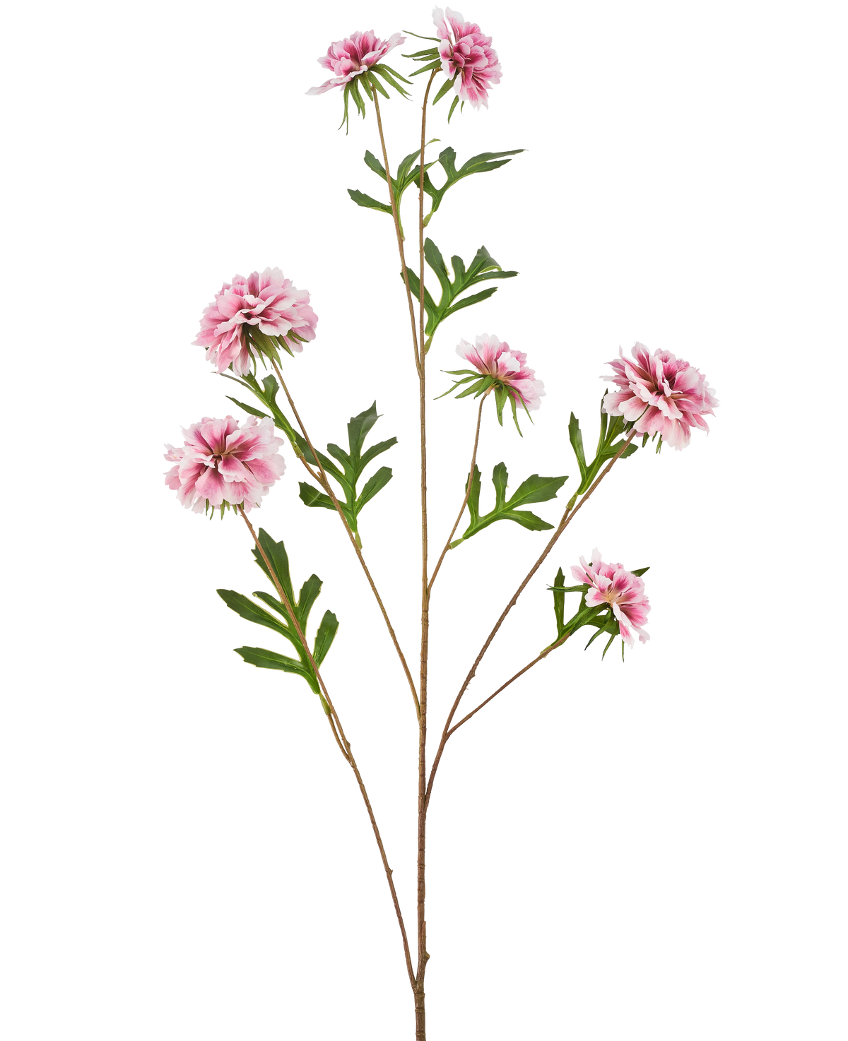 Die Kunstblume Kornblume 112 cm rosa hat einen langen Stiel mit grünen Blättern und mehreren rosa, flauschigen, dahlieähnlichen Blüten auf weißem Hintergrund.