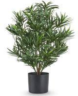 Künstliche Pflanze Podocarpus 47 cm, feuerhemmend, mit dünnen grünen Blättern in einem schwarzen Topf.