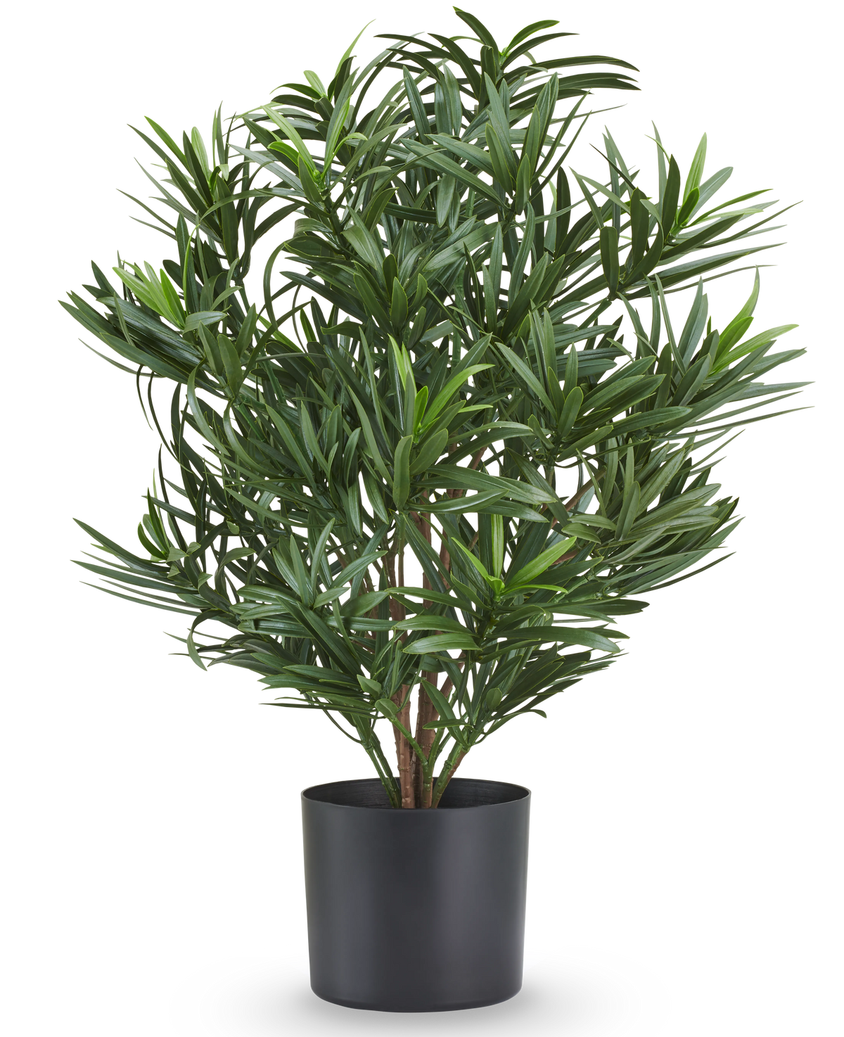 Künstliche Pflanze Podocarpus 47 cm, feuerhemmend, mit dünnen grünen Blättern in einem schwarzen Topf.