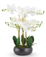 Künstliche Orchidee Real Touch 50 cm weiß im schwarzen Topf: Eine künstliche weiße Real Touch Orchidee mit grünen Blättern in einem runden schwarzen Topf.