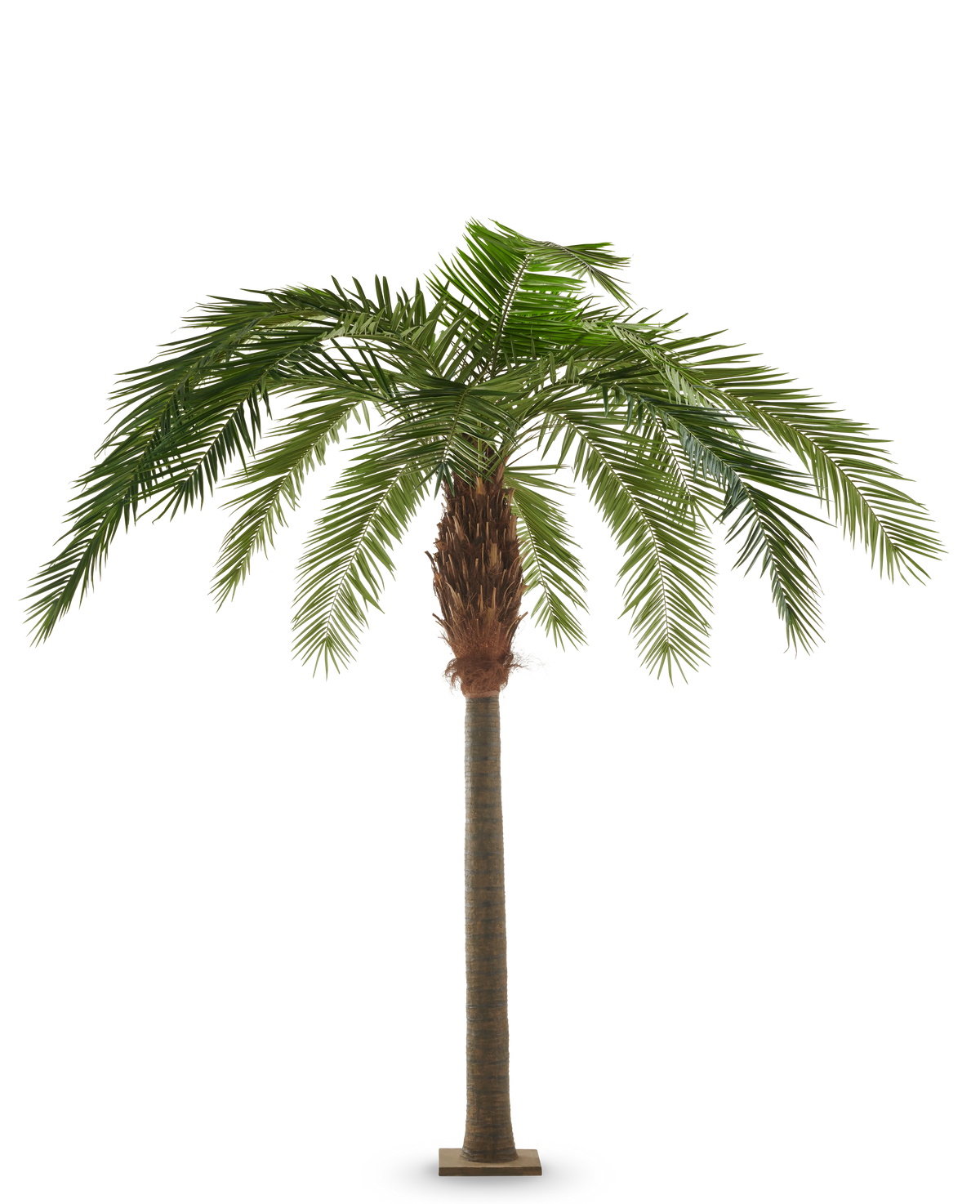 Künstliche Kanarienpalme 260 cm, eine künstliche Kanarienpalme mit einem hohen, schlanken Stamm und einem breiten Blätterdach aus grünen, gefiederten Blättern.