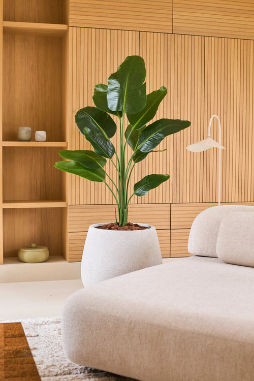 Eine künstliche Strelitzia-Pflanze 150 cm Real Touch2 mit lebensechten Blättern steht neben einem modernen beigen Sofa in einem Raum mit Holzvertäfelung und eingebauten Regalen, die mit minimalistischen Dekorationen dekoriert sind.