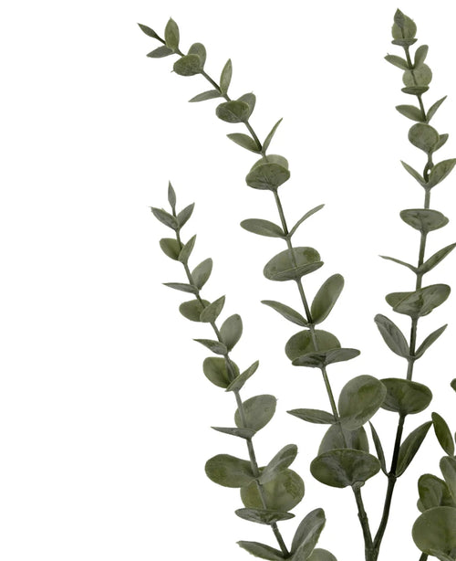 Drei künstliche Blumenstängel Eukalyptus Yugali (71 cm) mit runden grünen Blättern, diagonal auf weißem Hintergrund angeordnet.