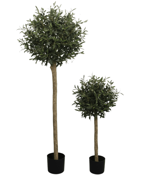Der künstliche Olivenbaum UV 150 cm ist ein künstlicher Olivenbaum im Topf mit einer runden, blattgrünen Spitze und einem langen, dünnen Stamm. UV-beständig und in einem schwarzen Topf präsentiert, hebt es sich von einem schlichten weißen Hintergrund ab.