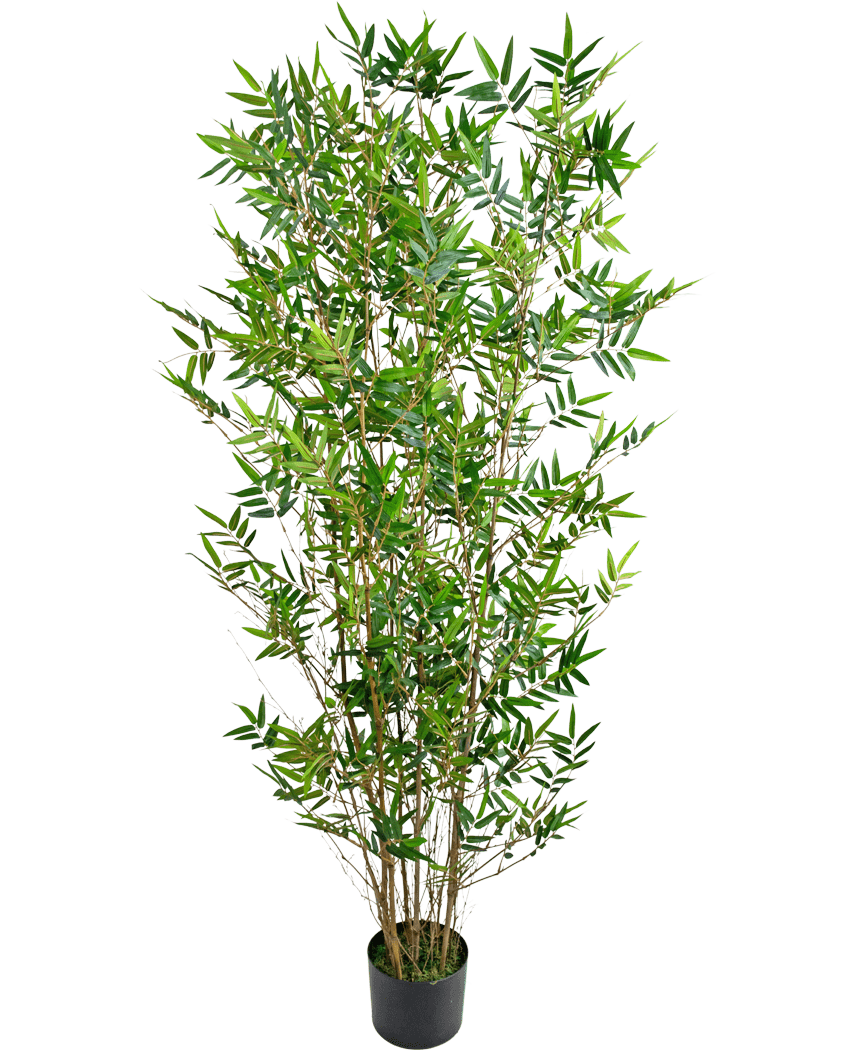 Die Kunstpflanze Bamboo Deluxe 150 cm ist eine hohe Bambuspflanze in einem Topf mit schlanken grünen Blättern und mehreren dünnen Stielen, fotografiert vor einem schlichten weißen Hintergrund.