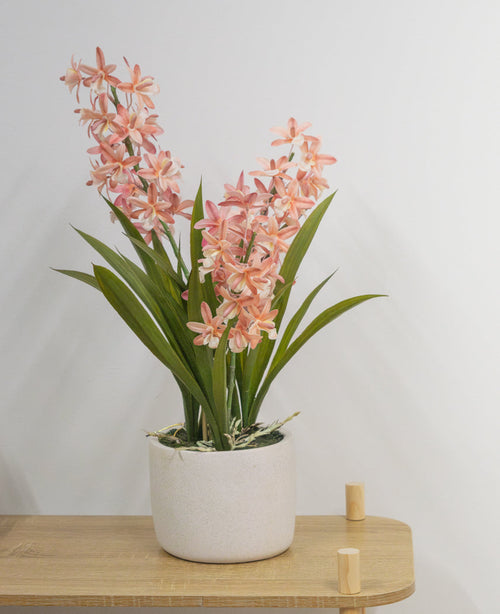 Das künstliche Cymbidium 58 cm rosa, eine grüne Pflanze mit langen Blättern und langen Stielen mit hellrosa Blüten in einem weißen Keramiktopf, steht auf einem hellen Holztisch vor einer schlichten weißen Wand.