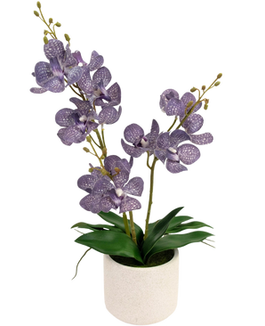 Die künstliche Ascocenda 50 cm lila hat zwei Stiele lila, gesprenkelter Orchideenblüten mit grünen Blättern in einem weißen Topf vor einem schlichten weißen Hintergrund.