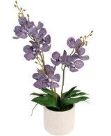 Die künstliche Ascocenda 50 cm lila hat zwei Stiele lila, gesprenkelter Orchideenblüten mit grünen Blättern in einem weißen Topf vor einem schlichten weißen Hintergrund.