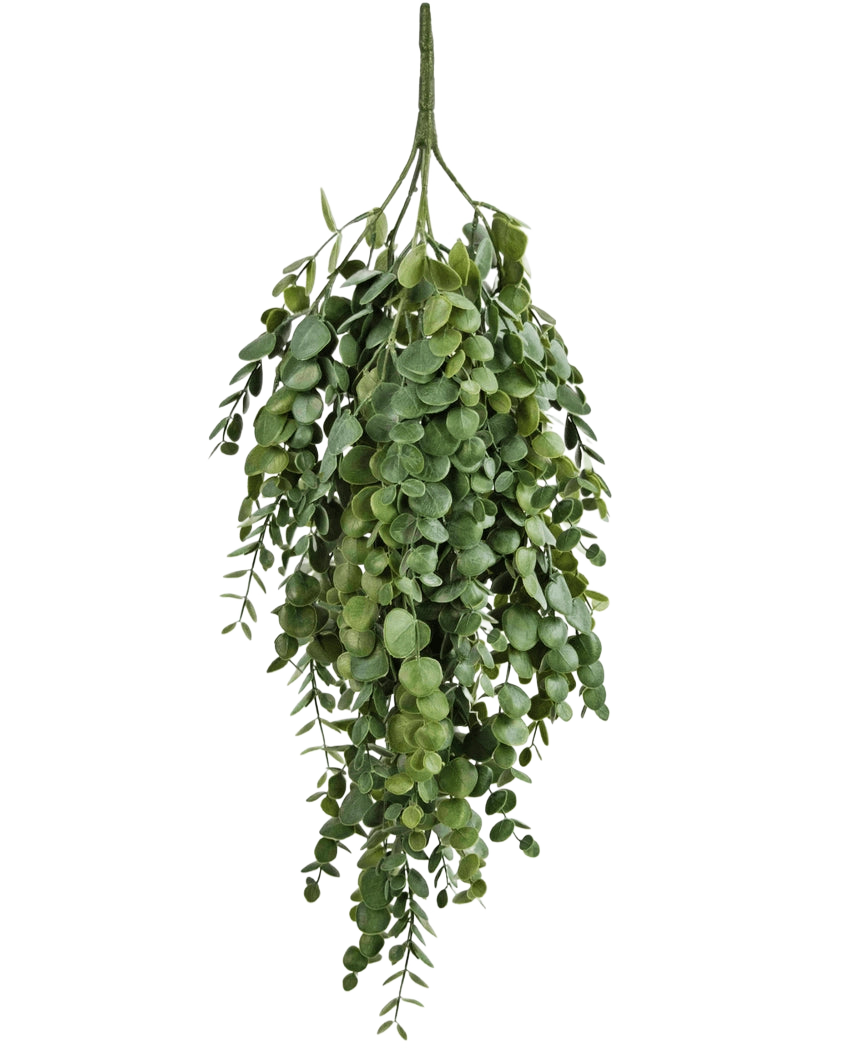 Die künstliche Hängepflanze Eukalyptus 76 cm hat dichte, kaskadierende künstliche Eukalyptusblätter mit runder und ovaler Form, perfekt, um jedem Raum mehr Grün zu verleihen.