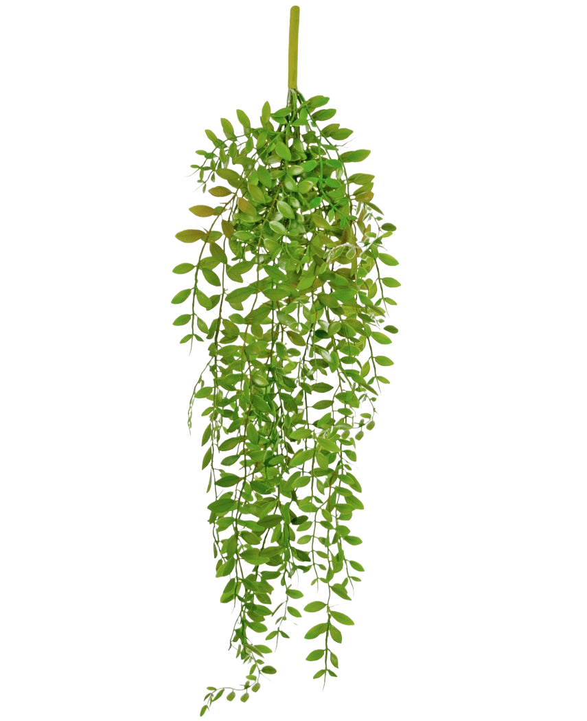 Die künstliche Hängepflanze Pumila 89 cm hat kleine, ovale grüne Blätter an mehreren Hängestielen, vor einem schlichten weißen Hintergrund.