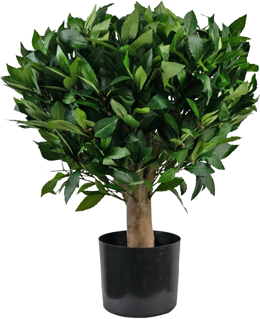 Die künstliche Lorbeer-UV-Pflanze (d65 cm) ist ein kleiner Kunstbaum mit dickem Stamm und dichten, glänzend grünen Blättern in einem schwarzen Kunststofftopf vor einem schlichten weißen Hintergrund.