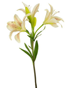 Eine einzelne künstliche asiatische Lilie, 66 cm, rosa, mit drei blühenden rosa Lilien und grünen Blättern, isoliert auf weißem Hintergrund.